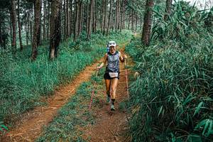 BIB: 
                            <button type="button" onclick="openModal(25704808)" class="btn btn-primary btn-sm float-right btn-popup" data-toggle="modal" data-target=".modal-high-quality">
                        <i class="fas fa-shopping-cart"></i> Add to Cart
                    </button>
                                            <button type="button" onclick="isThisMe(25704808, true)" class="btn btn-success btn-sm float-right btn-popup btn-isme hidden" data-toggle="tooltip" data-placement="bottom" title="นี่คือรูปของคุณใช่ไหม คลิกที่นี่เพื่อเอาเข้าอัลบั้ม">
                        <i class="fas fa-plus"></i> Add to album
                    </button>
                    <button type="button" onclick="isThisMe(25704808, false)" class="btn btn-warning btn-sm float-right btn-popup btn-isnotme hidden">
                        <i class="fas fa-ban"></i> Remove from album
                    </button>